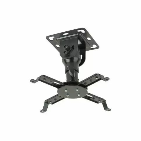 Projector Mounts