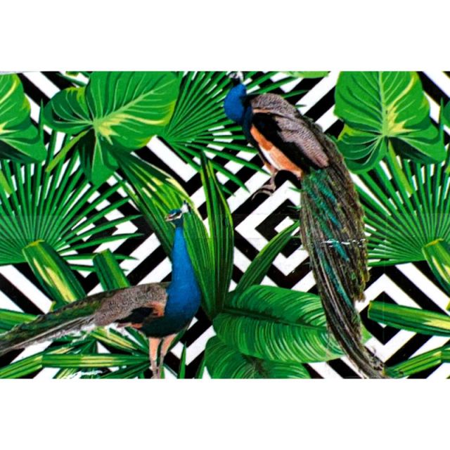 TROPICAL LEAVES PEACOCK 1 Backdrop Hire 2.1mW x 2.25mH
