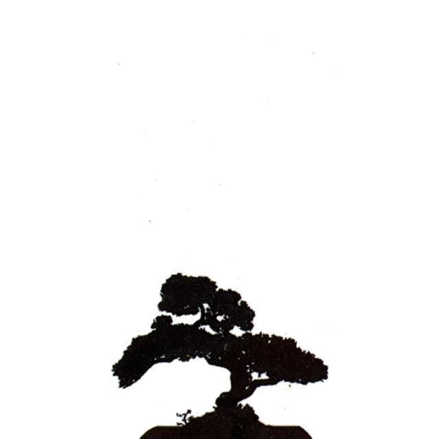 BONSAI TREE  Backdrop Hire 2mW x 4mH