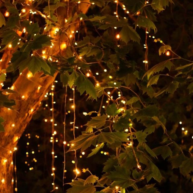 Warm White Fairy Lights 25m Long 