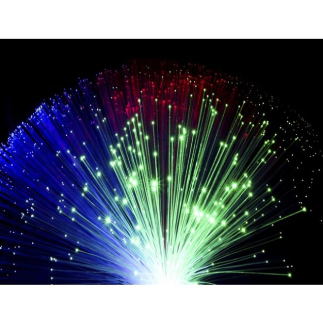 Fibre Optic Light