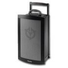 Chiayo Victory - Large Portable Battery Speaker