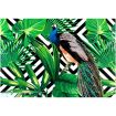 Pre-printed and designed backdrop  TROPICAL LEAVES PEACOCK 2 Backdrop Hire 3.5mW x 3mH