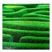 Pre-printed and designed backdrop GARDEN MAZE HEDGE Backdrop Hire 2.4mW x 2.3mH