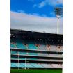 Pre-printed and designed backdrop MCG (MELBOURNE CRICKET GROUND) Backdrop Hire 2.4mW x 2.3mH