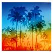 Pre-printed and designed backdrop PALM TREES Backdrop Hire 2.4mW x 2.3mH