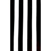 Pre-printed and designed backdrop B&W STRIPES Backdrop Hire 1.2mW x 2.4mH