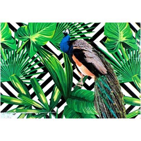 Pre-printed and designed backdrop  TROPICAL LEAVES PEACOCK 2 Backdrop Hire 3.5mW x 3mH