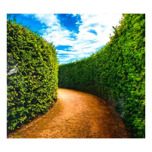 Pre-printed and designed backdrop GARDEN PATH HEDGE Backdrop Hire 2.4mW x 2.3mH