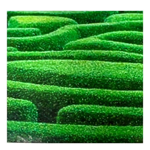 Pre-printed and designed backdrop GARDEN MAZE HEDGE Backdrop Hire 2.4mW x 2.3mH