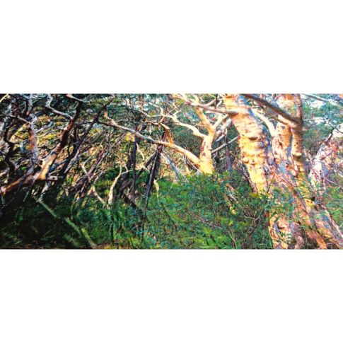 Pre-printed and designed backdrop BUSH OUTBACK Backdrop Hire 3.55mW x 2.4mH