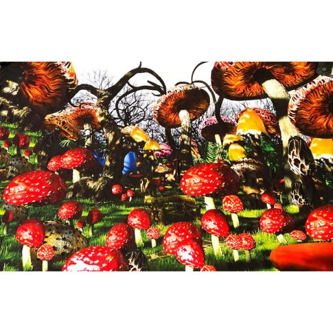 Pre-printed and designed backdrop ALICE IN WONDERLAND'MUSHROOMS' Backdrop Hire 3.6mW x 2.3mH