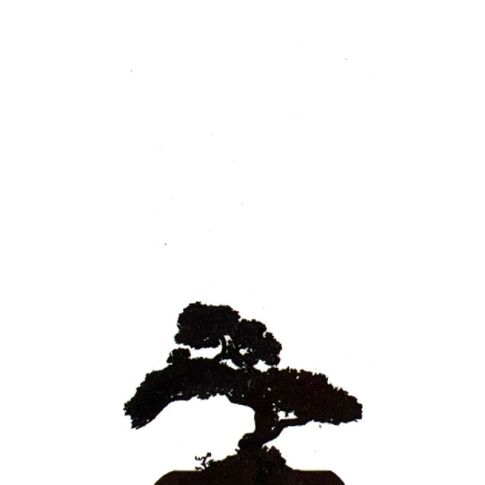 Pre-printed and designed backdrop BONSAI TREE Backdrop Hire 2mW x 4mH