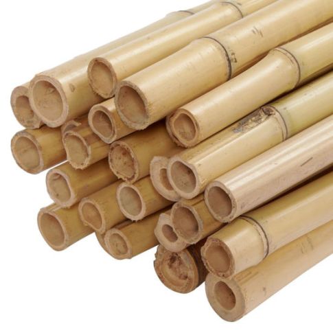 bamboo_beam_hire