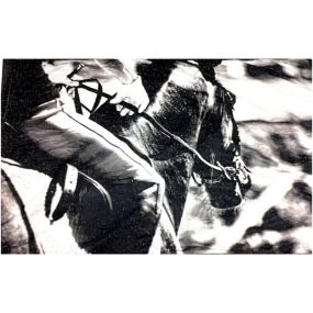 Pre-printed and designed backdrop FRAME HORSE  Backdrop Hire 1.8mW x 1.2mH
